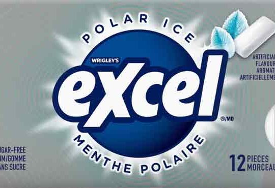 Gomme Excel Menthe polaire (paquet de 12)